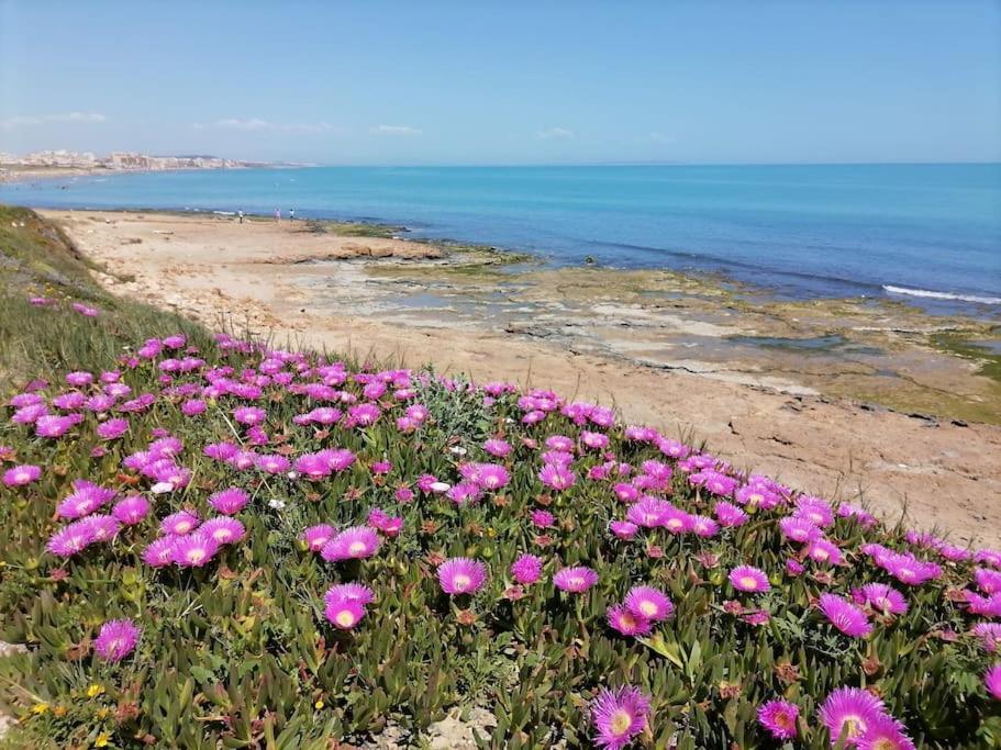 Brand New Apartment. 400 Meters Best Beach Torrevieja Buitenkant foto