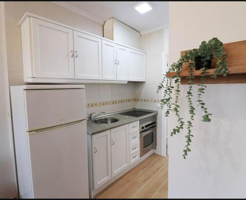 Brand New Apartment. 400 Meters Best Beach Torrevieja Buitenkant foto